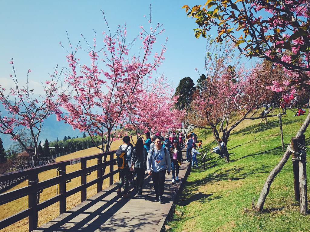 Các lễ hội mùa xuân sôi động ở Đài Loan