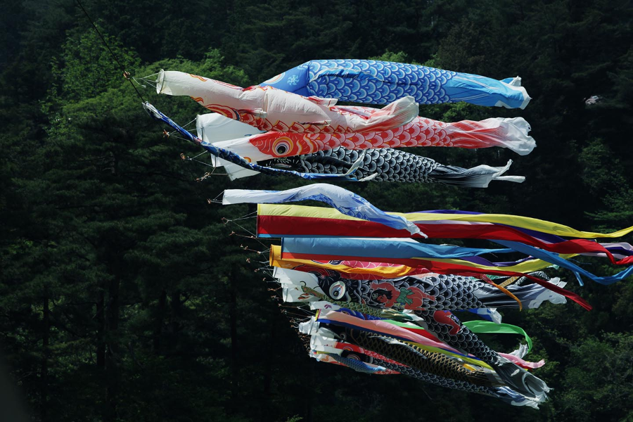 Lễ hội Cá chép Koinobori độc đáo có 1-0-2 tại Nhật Bản