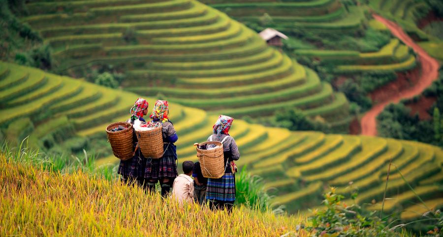 Ngoài khung cảnh tuyệt đẹp thì Mù Cang Chải còn nổi tiếng với những văn hoá vùng cao đặc biệt