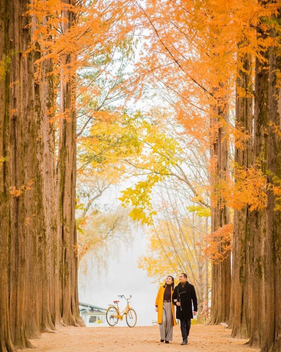 Bạn nên ưu tiên cho những trang phục đơn sắc nhưng không kém phần nổi bật nhé!