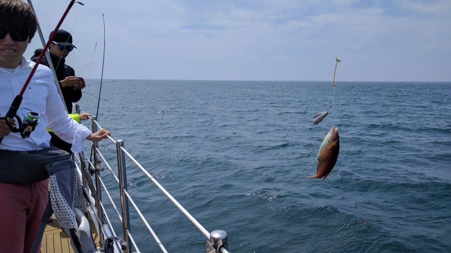 Trải nghiệm hoạt động câu cá siêu thú vị tại biển đảo Chagwido