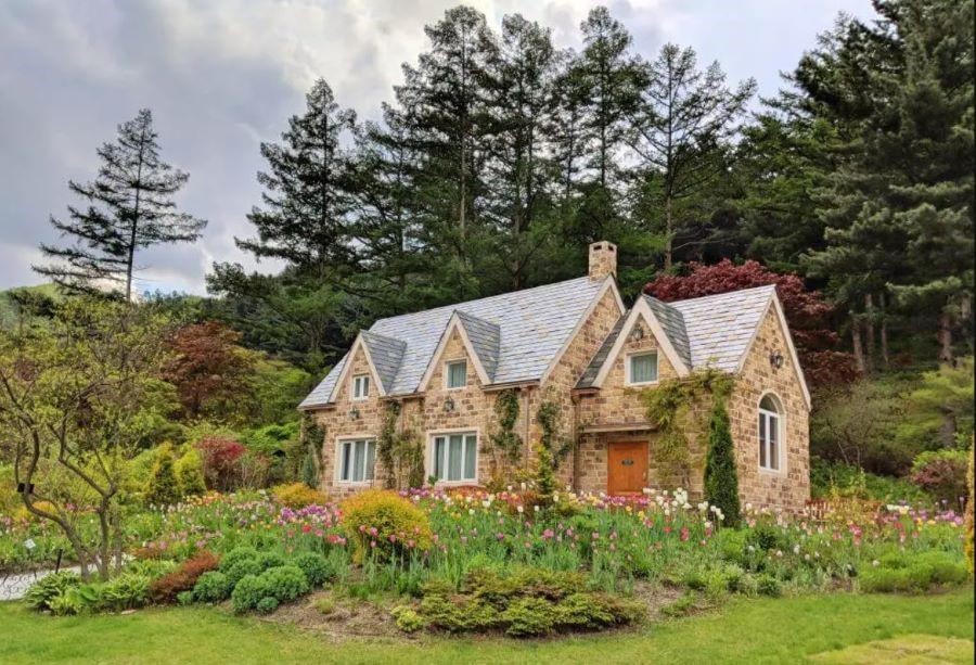 Morning Calm được tô điểm bởi rất nhiều sắc màu tươi thắm