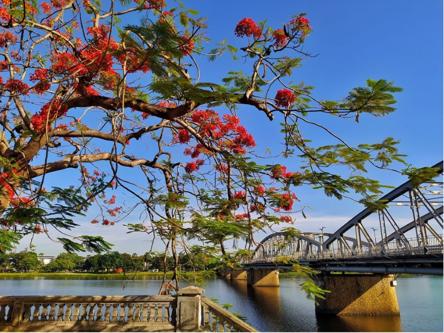 Cầu Tràng Tiền điểm check-in tuyệt đẹp tại Huế