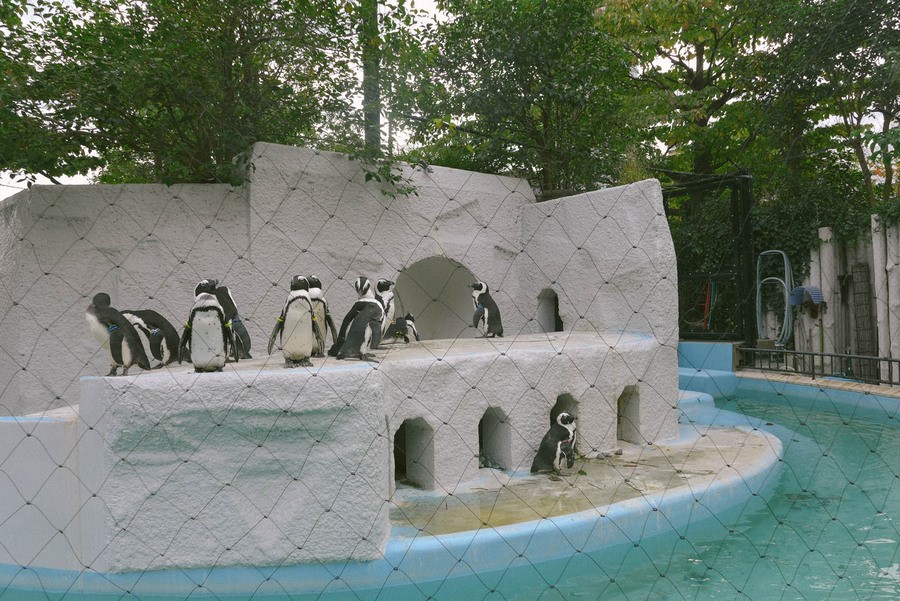 Hokkaido vào mùa đông vô cùng hấp dẫn với những trò chơi mạo hiểm