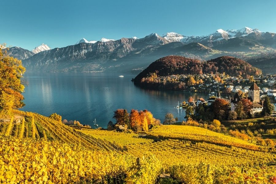 Interlaken vào thu đẹp tựa như tranh với hồ trong veo và núi non trầm mặc