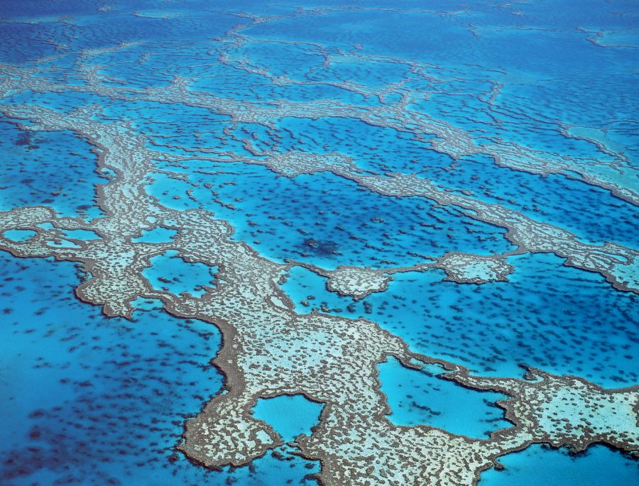 Rạn san hô Great Barrier nhìn từ trên cao với hệ sinh thái đa dạng