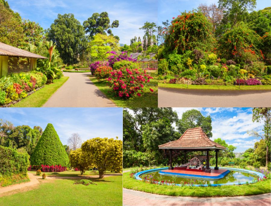 Vườn bách thảo Hoàng gia Melbourne bừng nở với hàng trăm loài hoa và cây cối xanh mướt