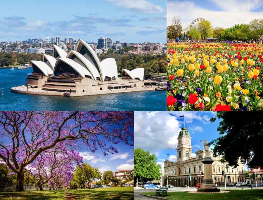 Khung cảnh bầu trời trong xanh, trăm hoa đua nở tại nước Úc