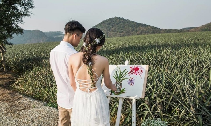 Cánh đồng dứa Ninh Bình - Nơi vẽ "giấc mơ tình yêu" cho các cặp đôi 