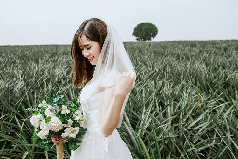 Cánh đồng dứa Ninh Bình - Nơi vẽ "giấc mơ tình yêu" cho các cặp đôi 