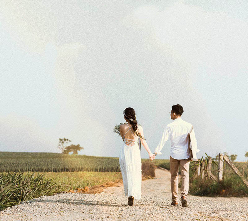 Cánh đồng dứa Ninh Bình - Nơi vẽ "giấc mơ tình yêu" cho các cặp đôi 