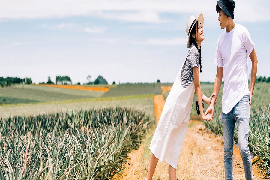 Cánh đồng dứa Ninh Bình - Nơi vẽ "giấc mơ tình yêu" cho các cặp đôi 