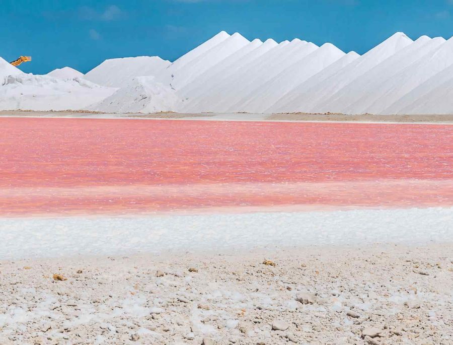 Muối tại Aigues-Mortes có chứa rất nhiều các dưỡng chất cho lợi cho sức khỏe người sử dụng