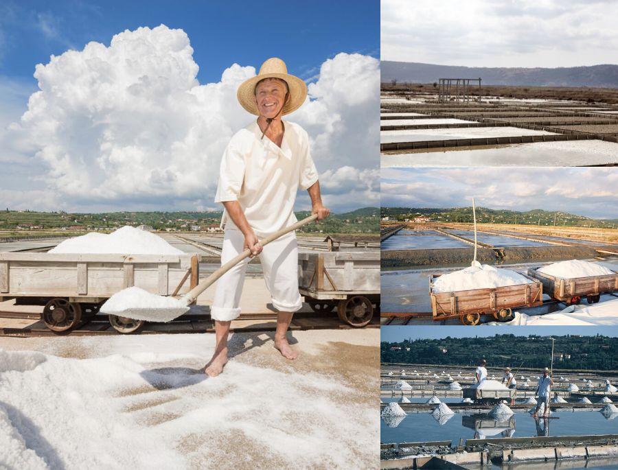 Người dân tại khu vực Cánh đồng muối Sečovlje vẫn tiến hành thu hoạch muối bằng các phương pháp thủ công truyền thống
