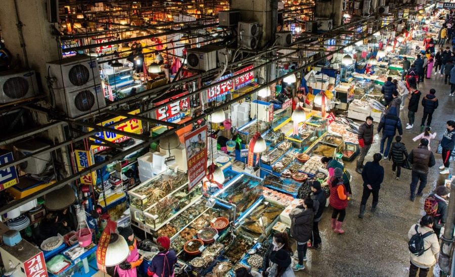 Noryangjin - thiên đường hải sản tươi ngon dành cho các tín đồ đam mê các món tôm cua