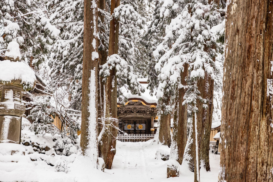 Fukui chắc chắn sẽ là một điểm đến lý tưởng để bạn tận hưởng một mùa đông tuyệt vời trong chuyến du lịch Nhật Bản sắp tới