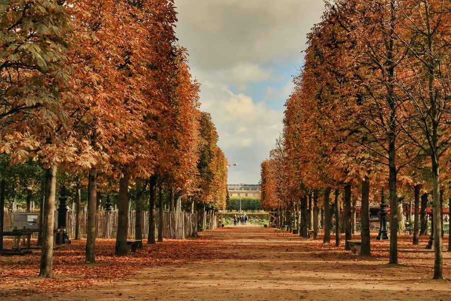 Jardin des Tuileries là một trong những khu vườn lớn nhất và đẹp nhất của thành phố ánh sáng