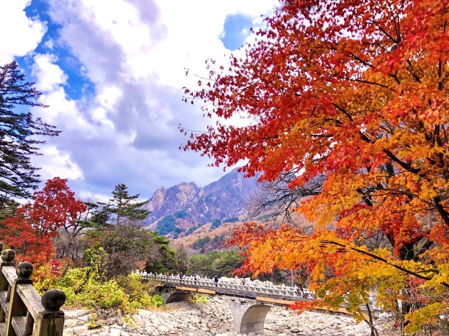 Toàn cảnh không gian ngũ sắc đặc sắc tại ngọn núi Seoraksan