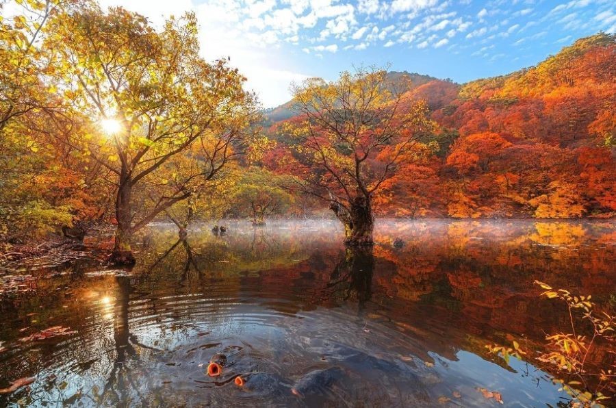 Khung cảnh vô cùng tĩnh lặng và bình yên tại hồ Jusanji