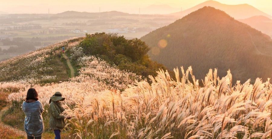 Đến Jeju để được cảm nhận khoảnh khắc thời gian như ngừng trôi bạn nhé!