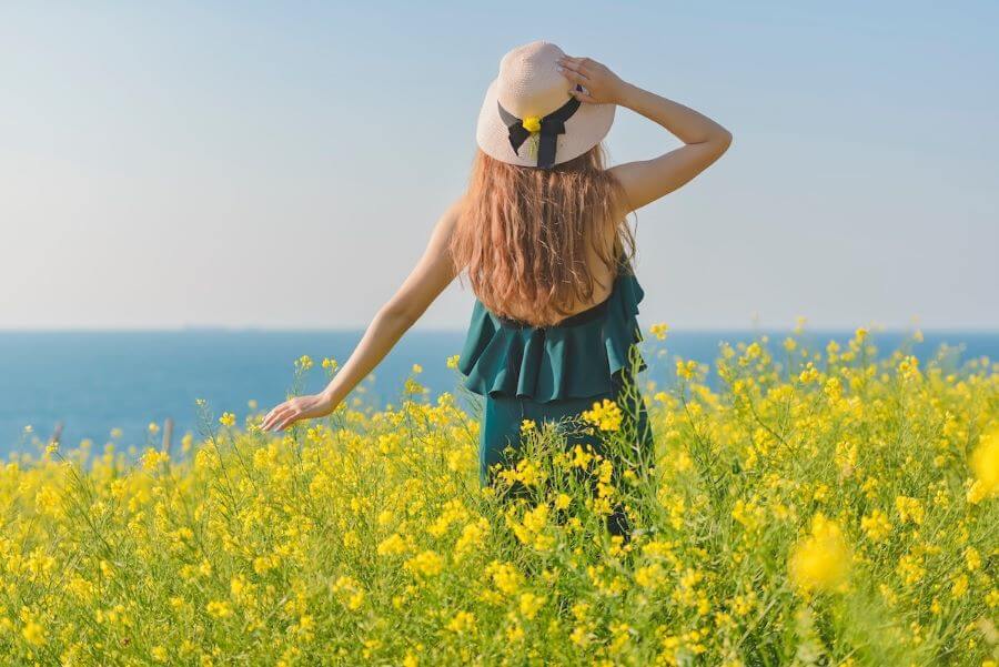 Cánh đồng hoa cải ở Namji là một trong những điểm đến nổi tiếng nhất ở Hàn Quốc để chiêm ngưỡng vẻ đẹp rực rỡ của hoa cải vàng vào mùa xuân