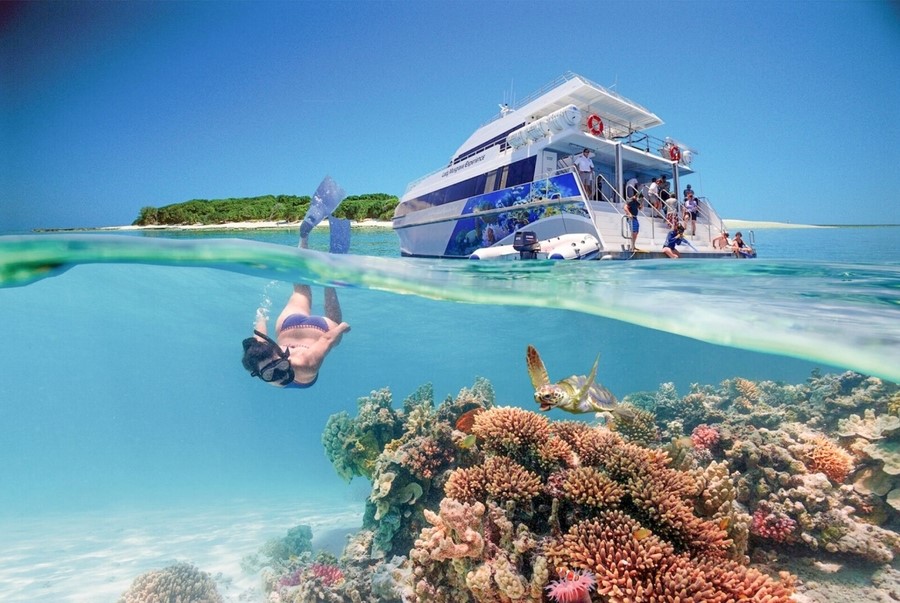 Rạn san hô Great Barrier là một trong những kỳ quan thiên nhiên đáng kinh ngạc