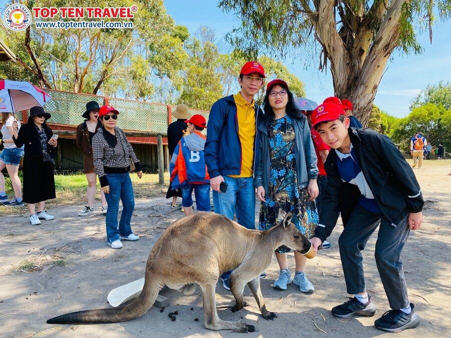 Kangaroo là loài động vật biểu tượng của nước Úc