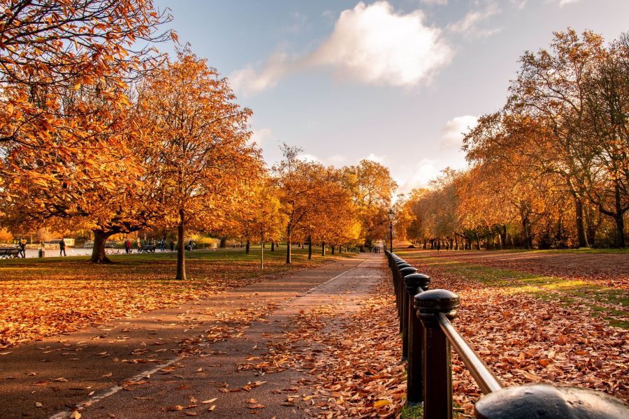 Thủ đô London nổi tiếng trong các tour du lịch Anh Quốc cũng là một trong những điểm đến đẹp nhất châu Âu mùa thu