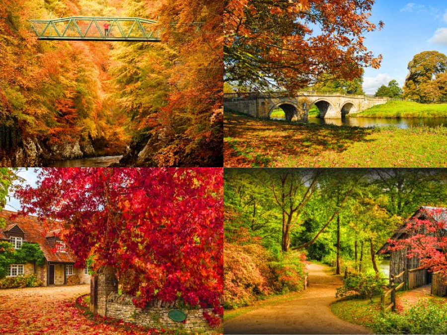 Có nên đi du lịch nước Anh mùa thu không?