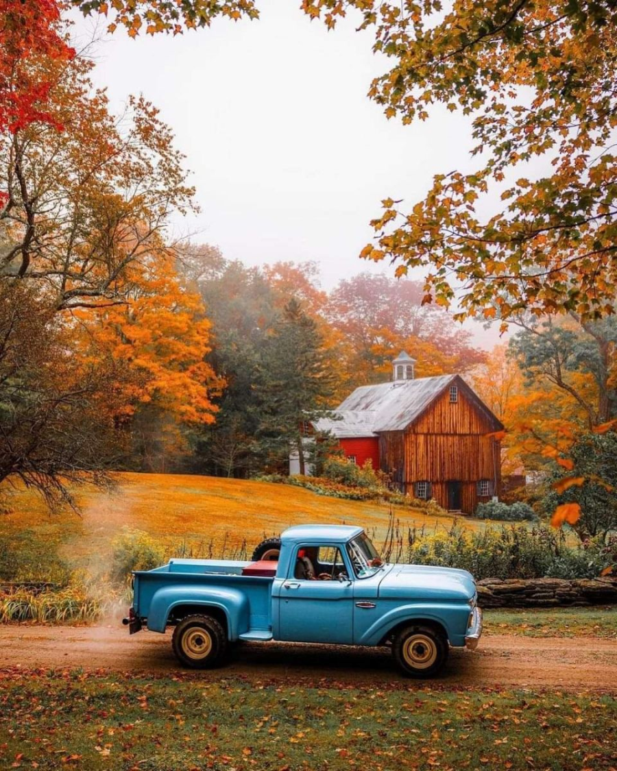 Mùa thu nước Anh bắt đầu từ cuối tháng 9 và kéo dài đến hết tháng 11, là một bức tranh thiên nhiên sống động với những gam màu ấm nóng