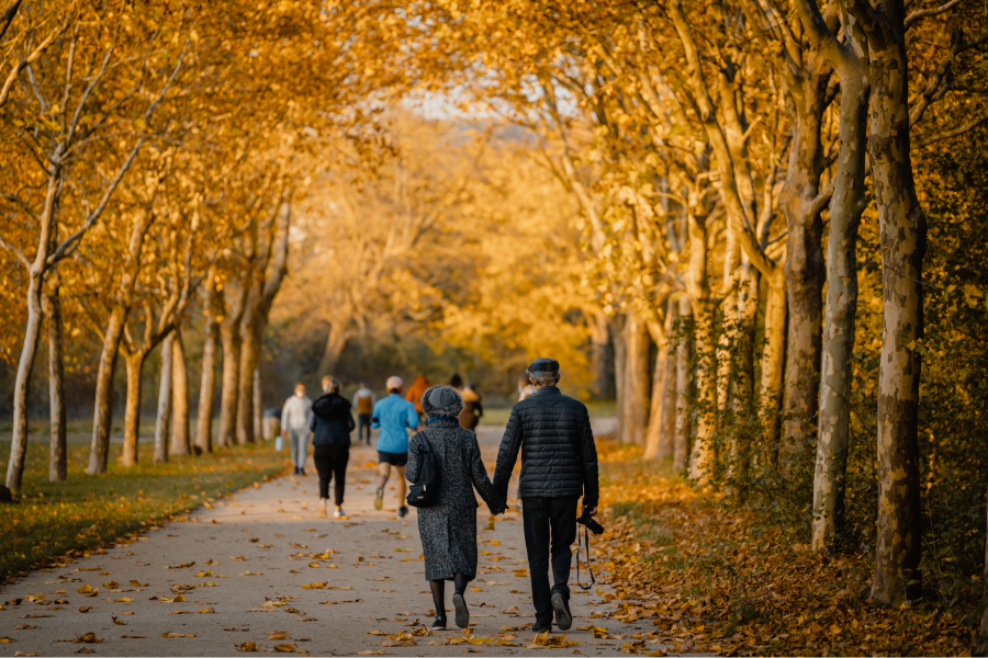 Mùa thu đến, Hyde Park như khoác lên mình tấm áo mới đầy màu sắc