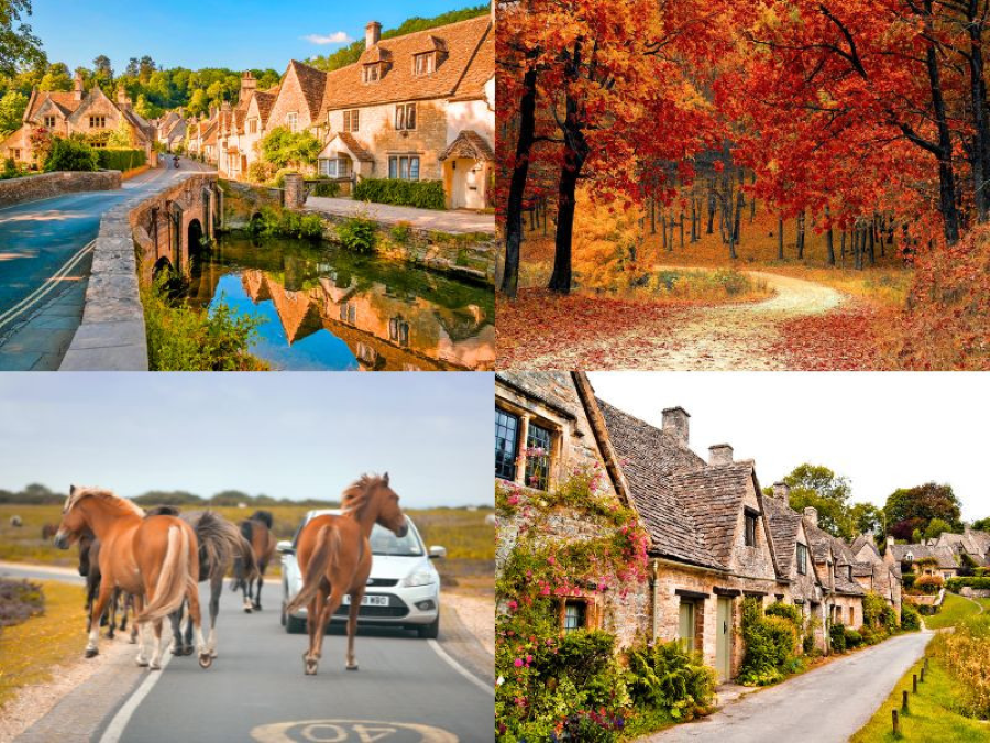 Lake District vào mùa thu là một bức tranh thiên nhiên tuyệt đẹp với gam màu ấm áp, lãng mạn
