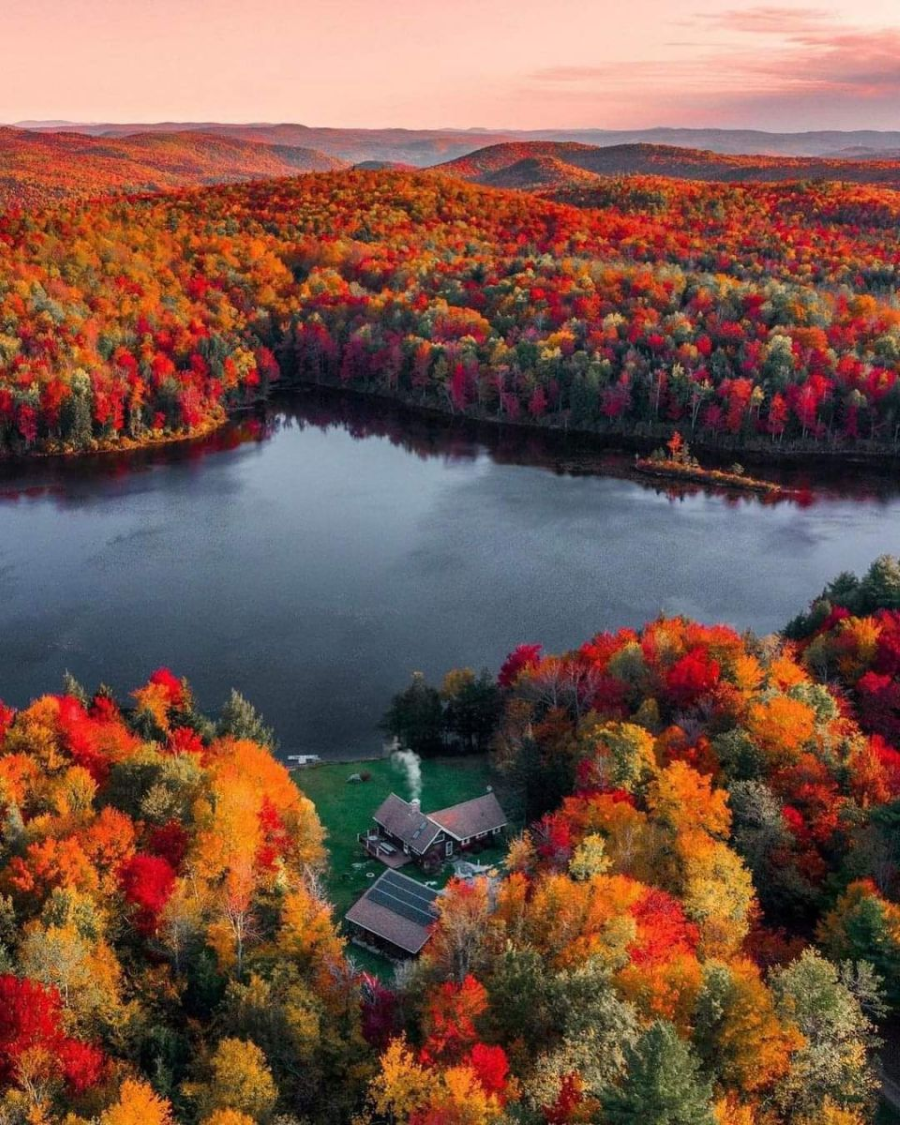 New Forest vào mùa thu như một bức tranh thủy mặc tuyệt đẹp với gam màu vàng, cam, đỏ của rừng cây ngập nước