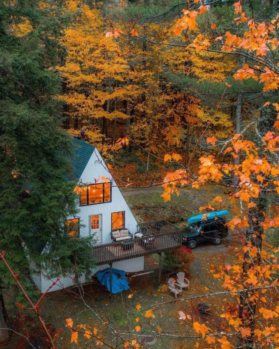 Dưới ánh nắng vàng nhạt của mùa thu, Stourhead tựa như một viên ngọc quý lấp lánh giữa vùng quê Wiltshire