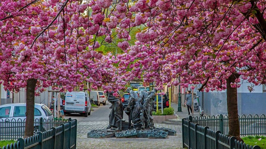 Dusseldorf - điểm đến hứa hẹn sẽ mang đến cho du khách một chuyến du xuân thật hoàn hảo