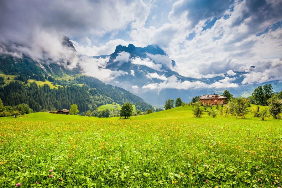 Khung cảnh bình yên và đầy thi vị mà du khách chỉ có thể tìm được ở Grindelwald