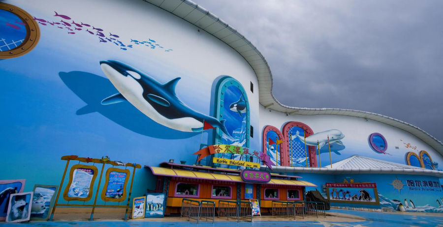 Công viên thủy cung Harbin Polarland hứa hẹn sẽ là thiên đường cho các bé và những ai yêu thích thế giới đại dương