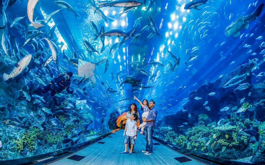 Thuỷ cung Dubai Aquarium - Nơi sở hữu bể cá khổng lồ với sức chứa 10 triệu lít
