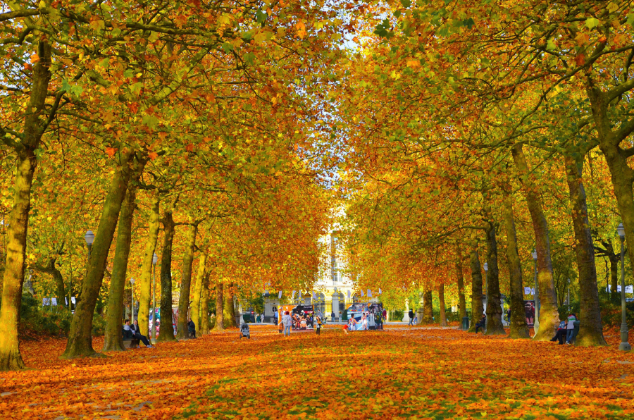 Khi thu về, Thị trấn Veurne nhỏ bé này như được khoác lên một tấm áo mới rực rỡ sắc màu