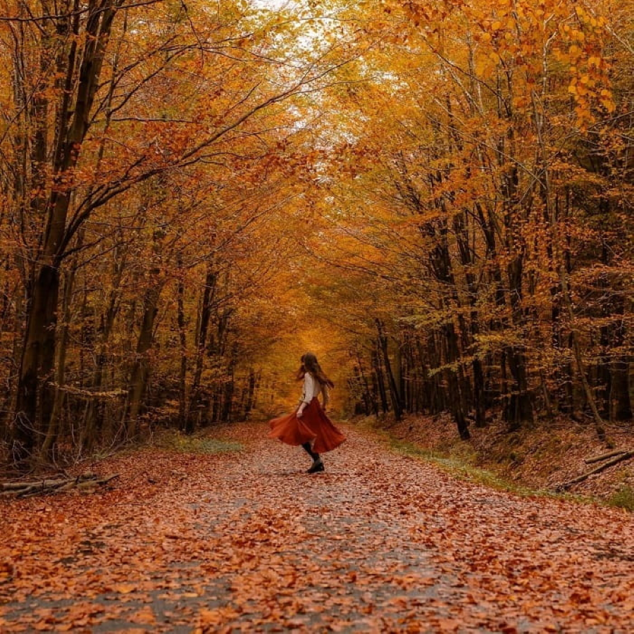 Spa mùa thu như được khoác lên mình tấm áo mới với những gam màu rực rỡ của thiên nhiên