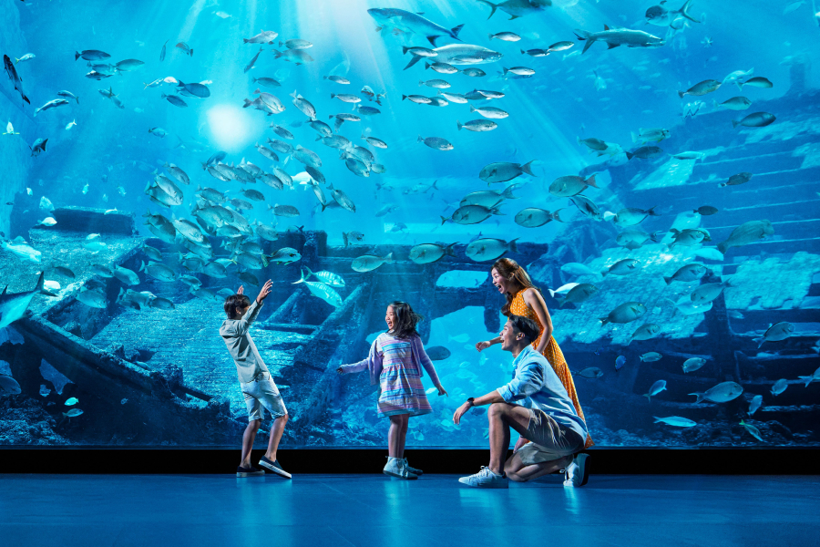 Tọa lạc ở đảo Sentosa, Thủy cung S.E.A Aquarium Singapore được đánh giá là khu nhân tạo dưới nước lớn nhất thế giới 
