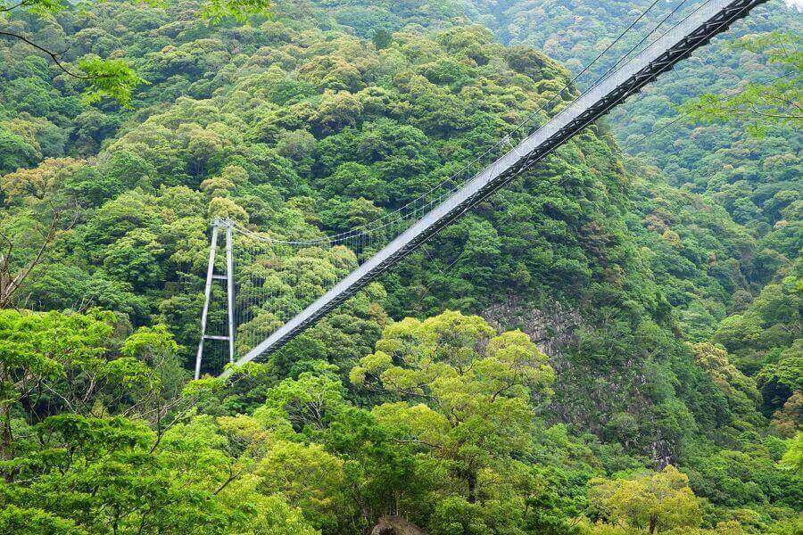 Cầu Aya Teruha có chiều dài 250 mét và nằm ở độ cao 142 mét so với mặt sông