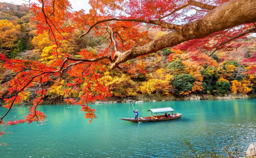 Những địa điểm du lịch Nhật Bản mùa thu dẫn lối du khách đắm chìm trong sắc màu rực rỡ của thiên nhiên