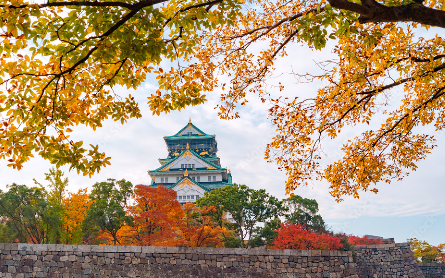 Lâu đài Osaka sở hữu vẻ đẹp mùa thu với sắc vàng ấm áp và những nét kiến trúc cổ kính đặc trưng