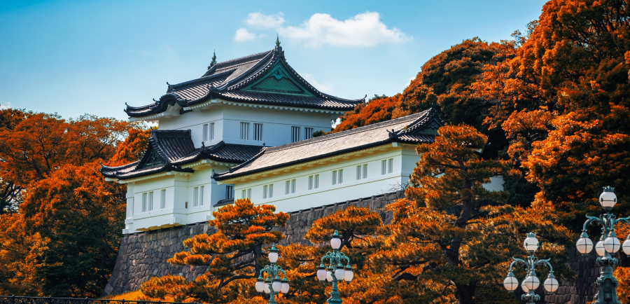 Ẩn sau tán lá đỏ rực của mùa thu, Hoàng cung Tokyo hiện lên như một bức tranh cổ kính đầy mê hoặc