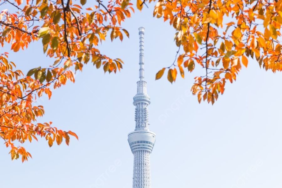 Tokyo Skytree - một trong những địa điểm du lịch Nhật Bản mùa thu nổi tiếng nhất