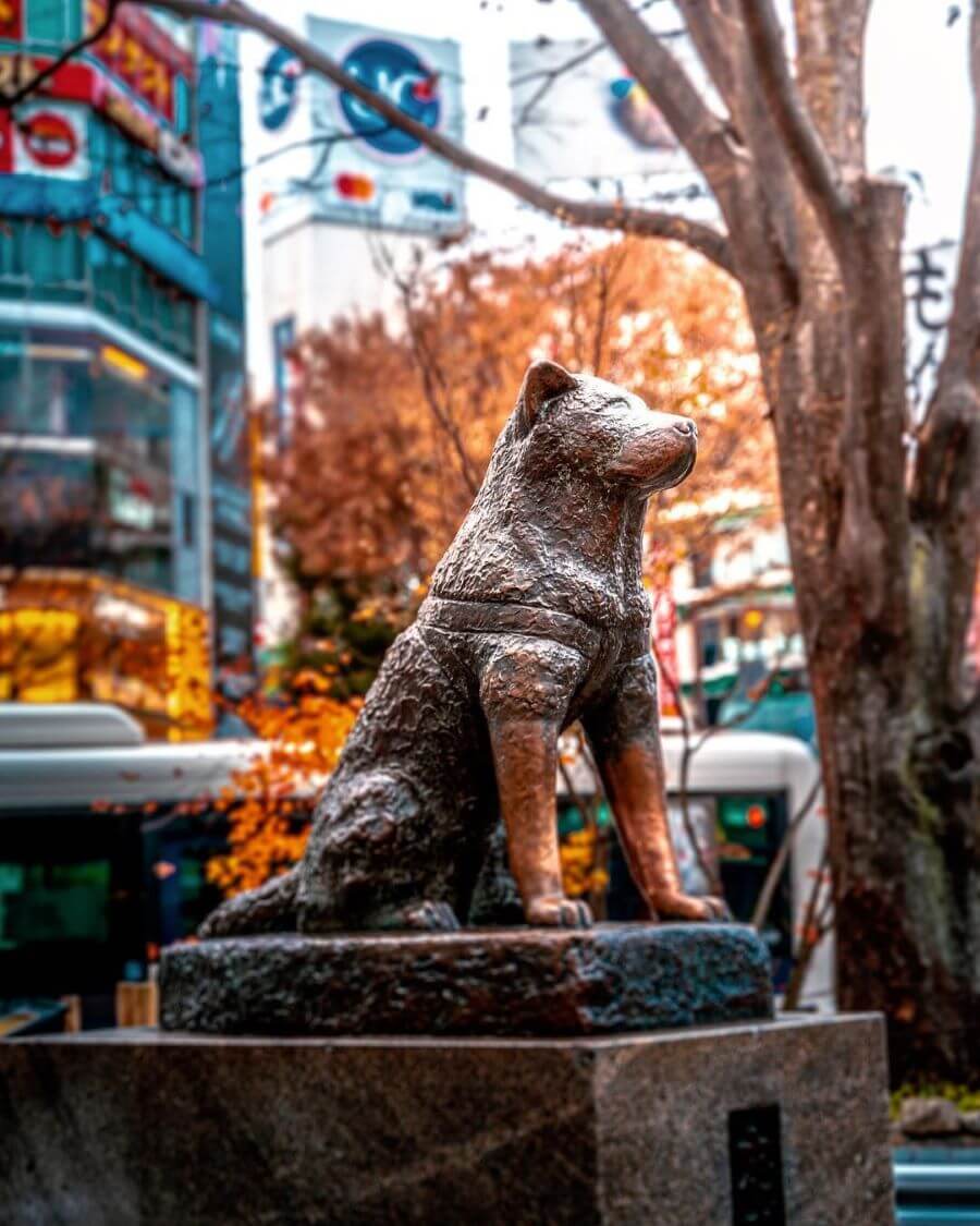 Bức tượng chú chó Hachiko thu hút đông đảo du khách đến check-in mỗi khi đi du lịch Nhật Bản