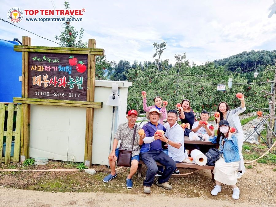 Đoàn khách nhà Top Ten trải nghiệm hái trái cây ngay tại vườn cực kỳ thú vị