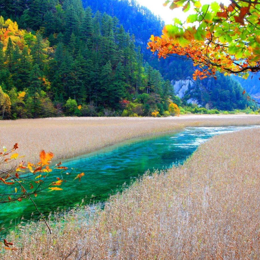 Cửu Trại Câu sở hữu nhiều cảnh quan đẹp nao lòng du khách phương xa