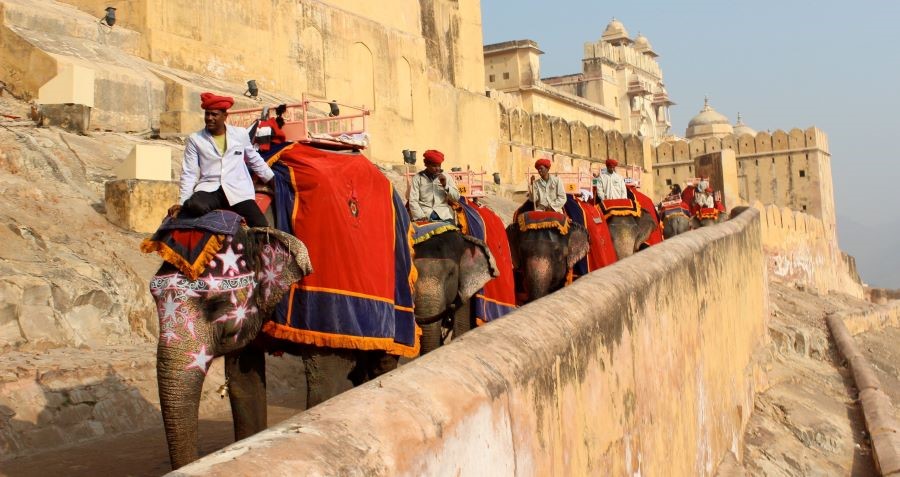 Top Ten Travel tặng du khách vé trải nghiệm cưỡi voi chinh phục pháo đài Amber